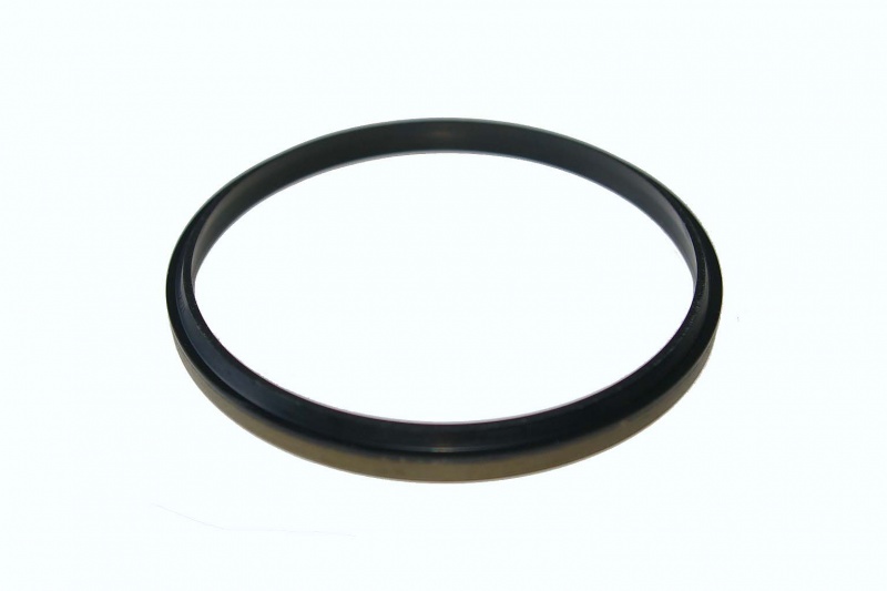Seal ring F021147