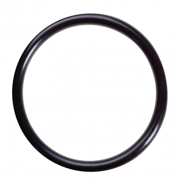 O Ring F023682