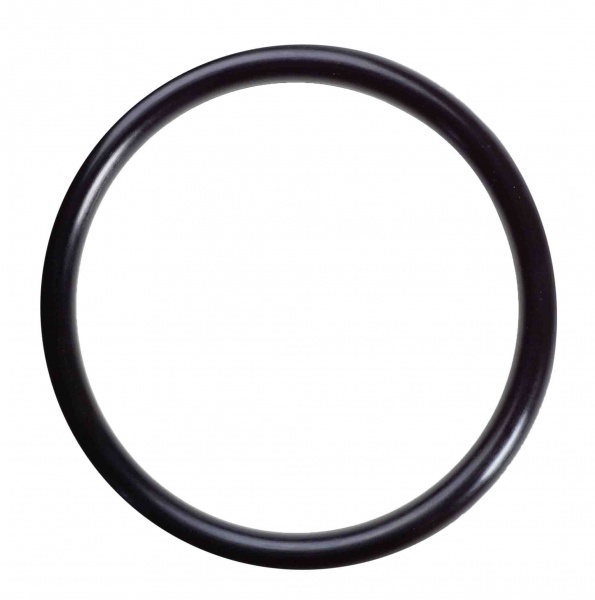 Ring seal F034626
