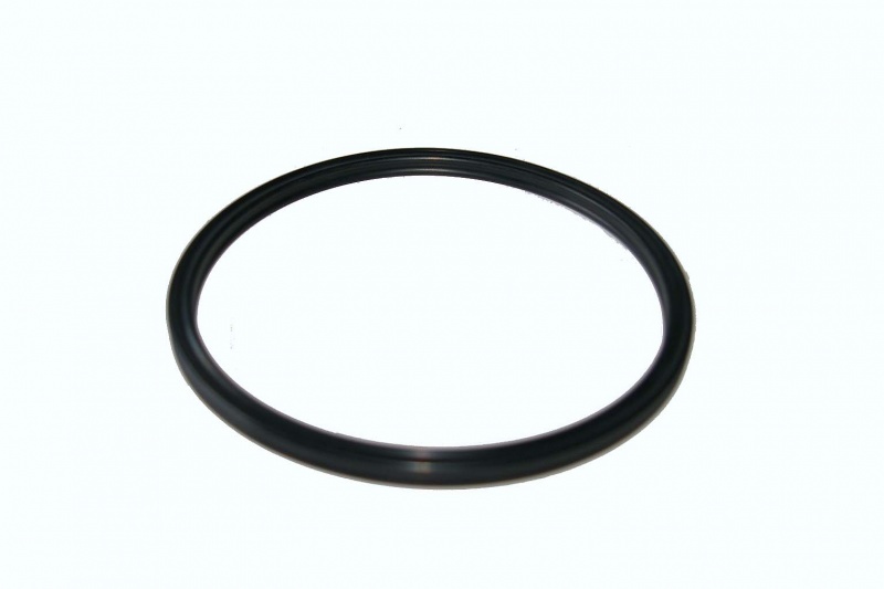 Seal ring F010205