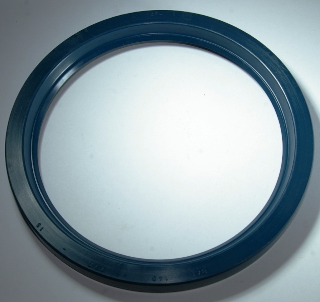 Seal ring F011151